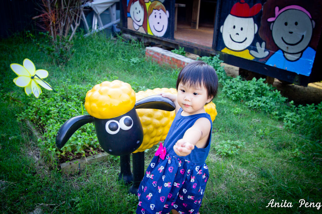 IMG_1242.jpg IMG_1242.jpg