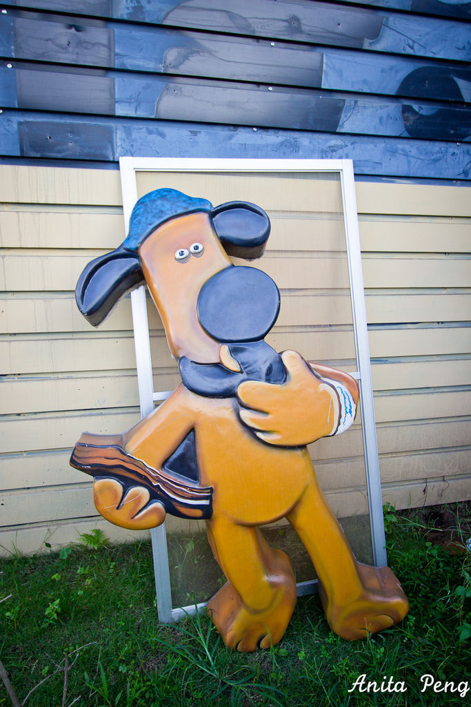 IMG_1243.jpg IMG_1243.jpg