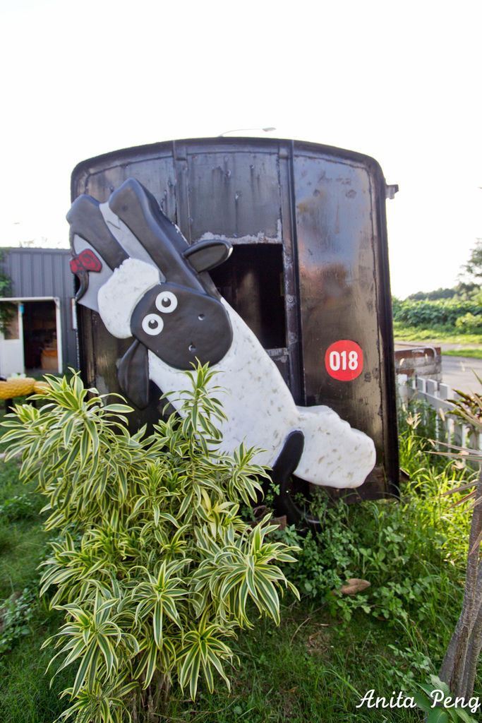 IMG_1245.jpg IMG_1245.jpg