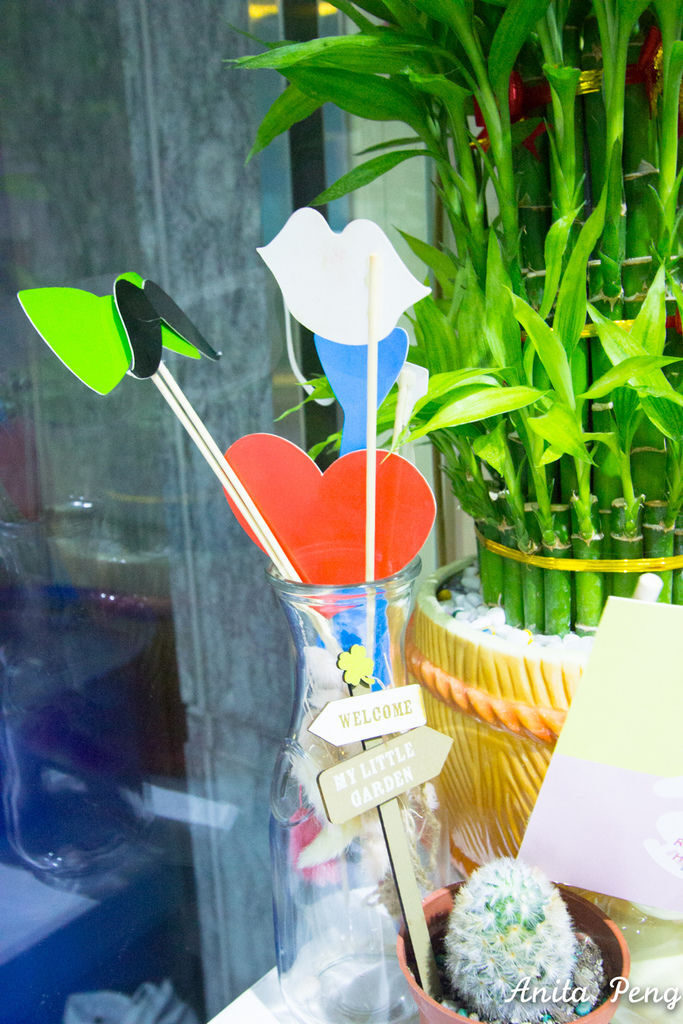 IMG_5196.jpg IMG_5196.jpg