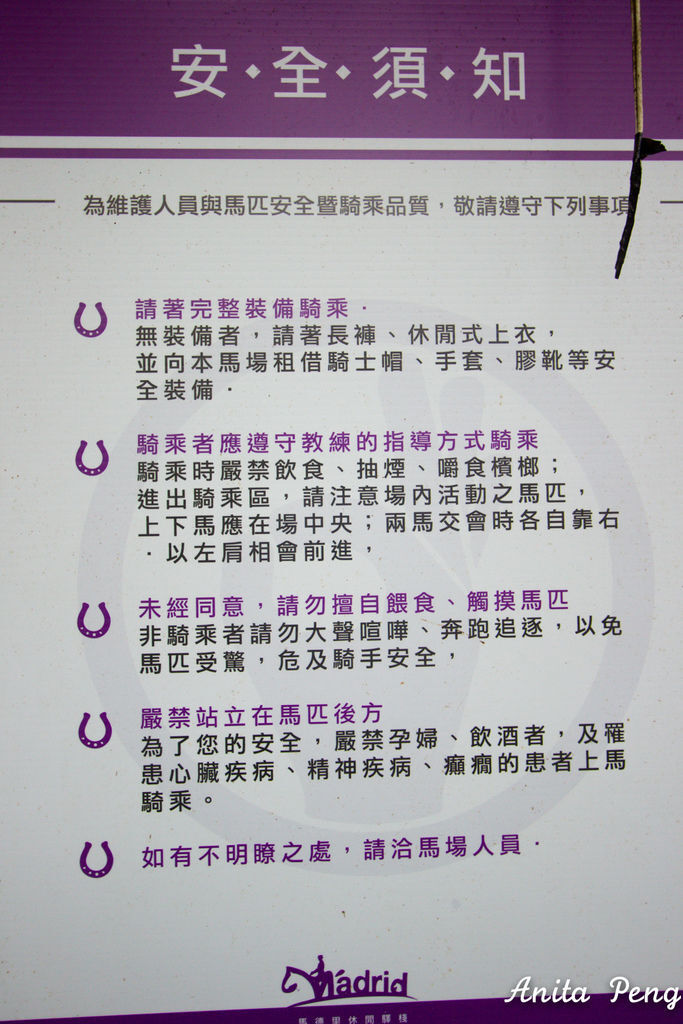IMG_8371.jpg IMG_8371.jpg