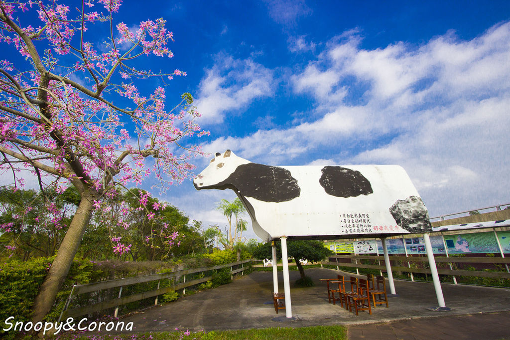 IMG_2226-1.jpg IMG_2226-1.jpg