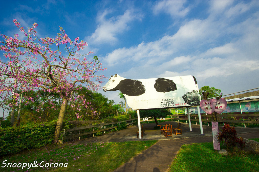 IMG_2227-2.jpg IMG_2227-2.jpg