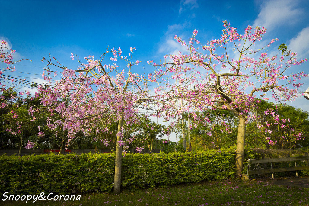 IMG_2228-3.jpg IMG_2228-3.jpg