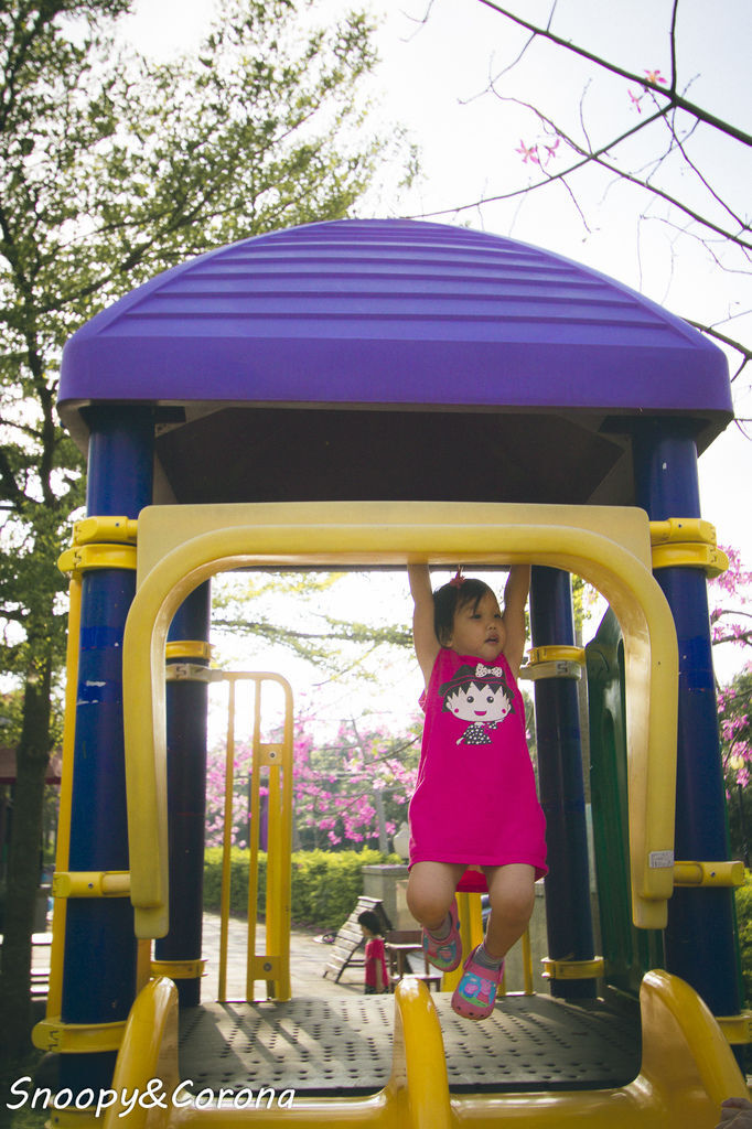 IMG_2235-9.jpg IMG_2235-9.jpg