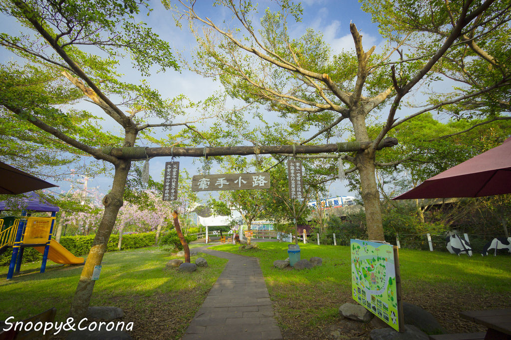 IMG_2246-15.jpg IMG_2246-15.jpg