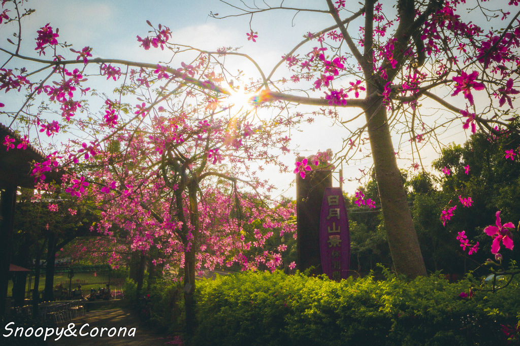 IMG_2247-16.jpg IMG_2247-16.jpg