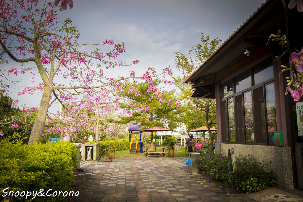 IMG_2257-22.jpg IMG_2257-22.jpg