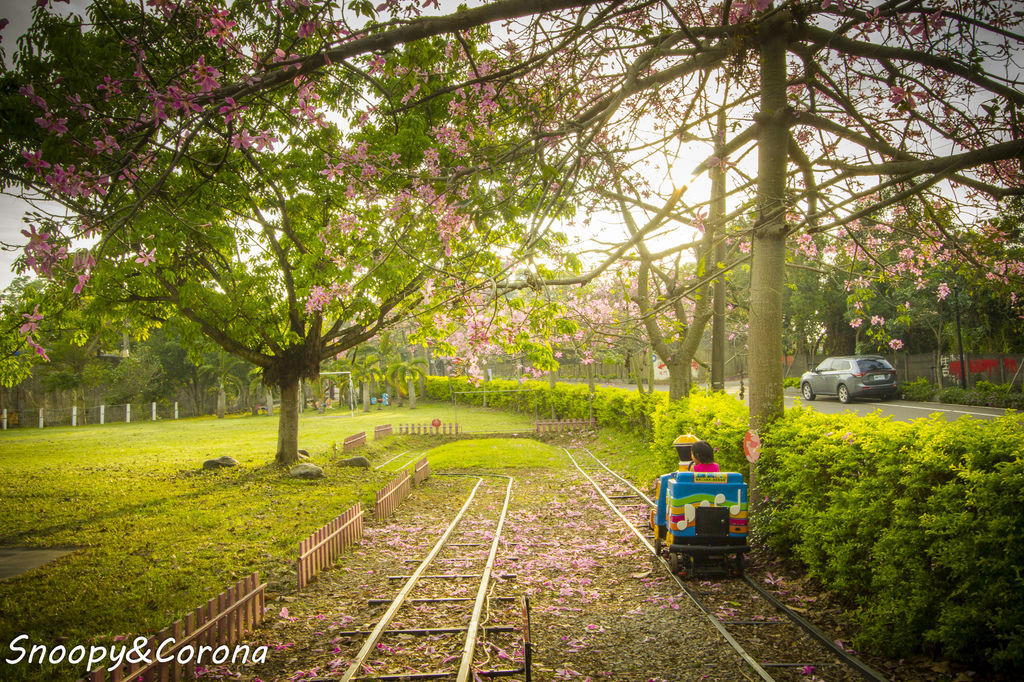 IMG_2262-27.jpg IMG_2262-27.jpg