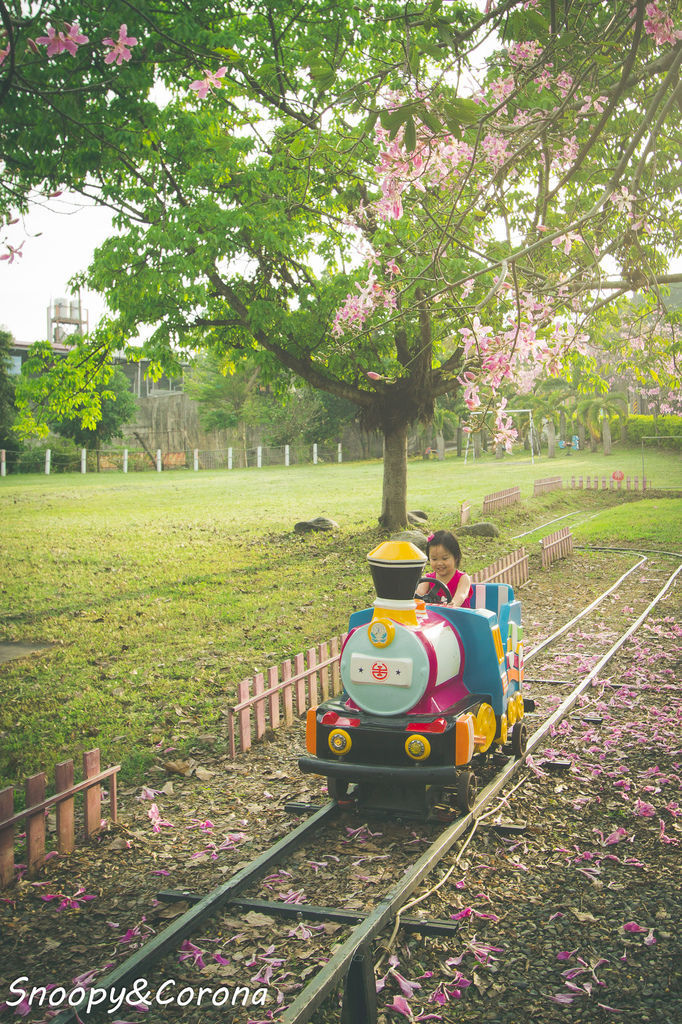 IMG_2264-29.jpg IMG_2264-29.jpg