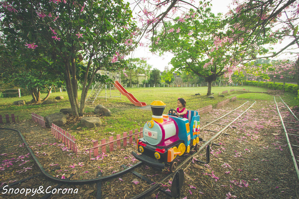 IMG_2266-31.jpg IMG_2266-31.jpg