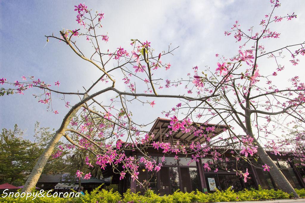 IMG_2283-40.jpg IMG_2283-40.jpg