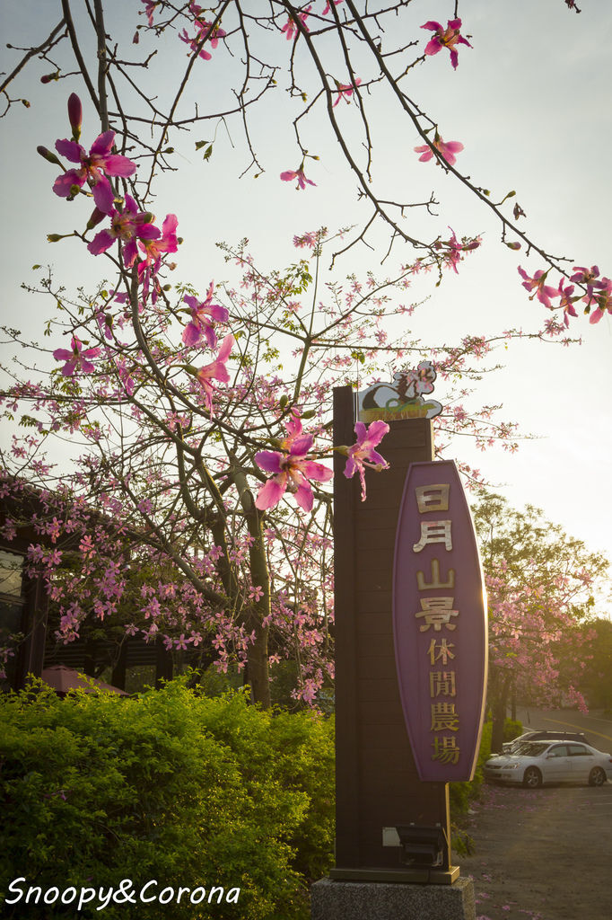 IMG_2284-41.jpg IMG_2284-41.jpg