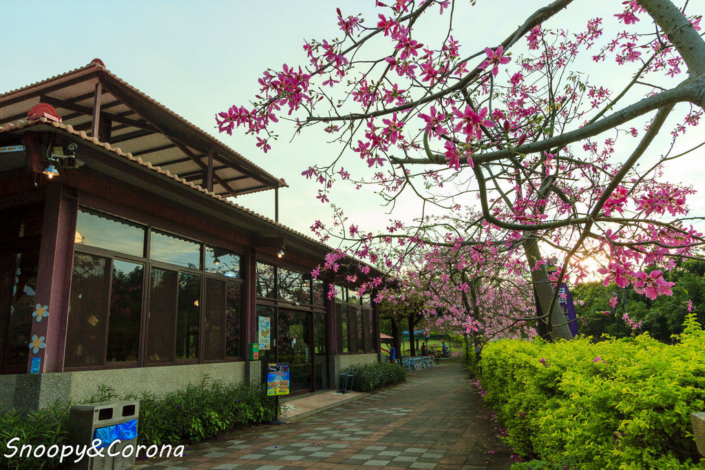 IMG_2289-45.jpg IMG_2289-45.jpg