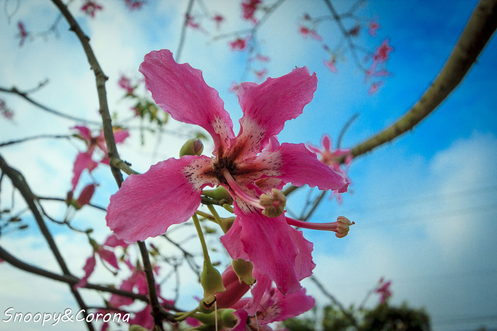 IMG_2290-46.jpg IMG_2290-46.jpg