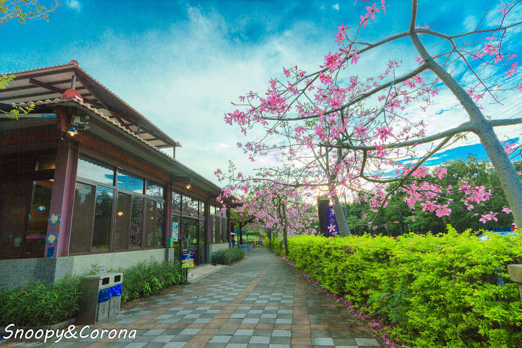 IMG_2292-48.jpg IMG_2292-48.jpg