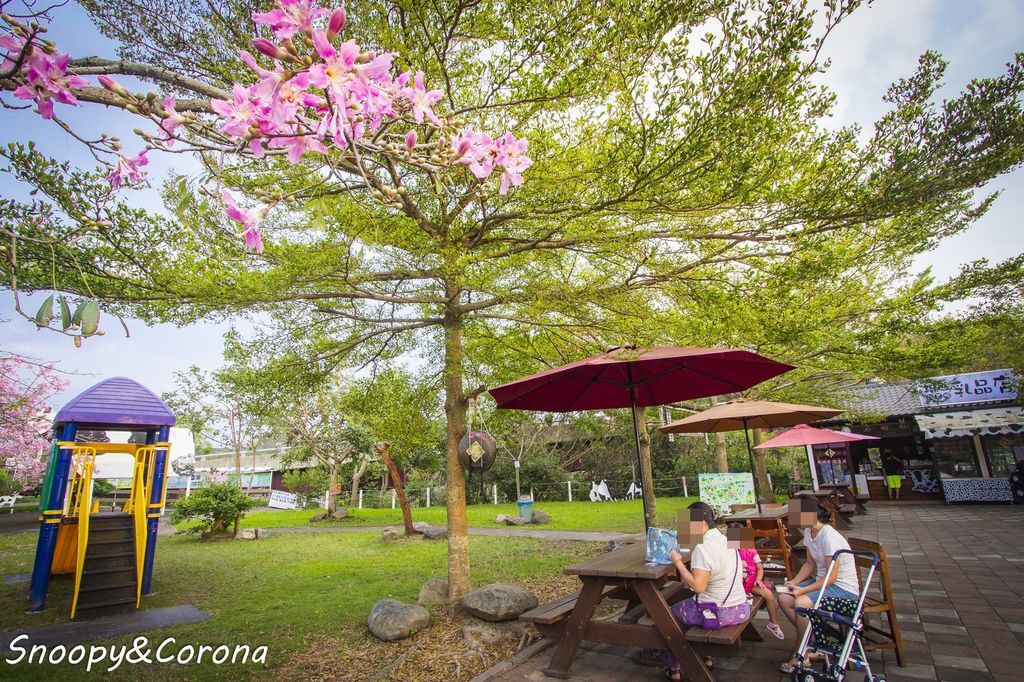 IMG_2293-49.jpg IMG_2293-49.jpg