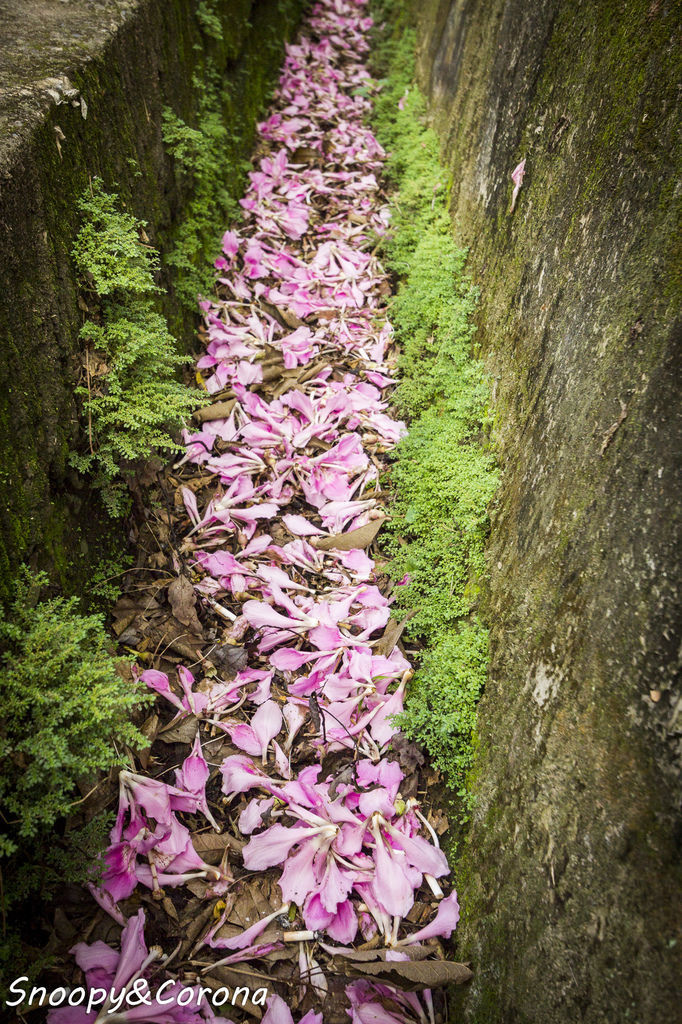 IMG_2295-51.jpg IMG_2295-51.jpg