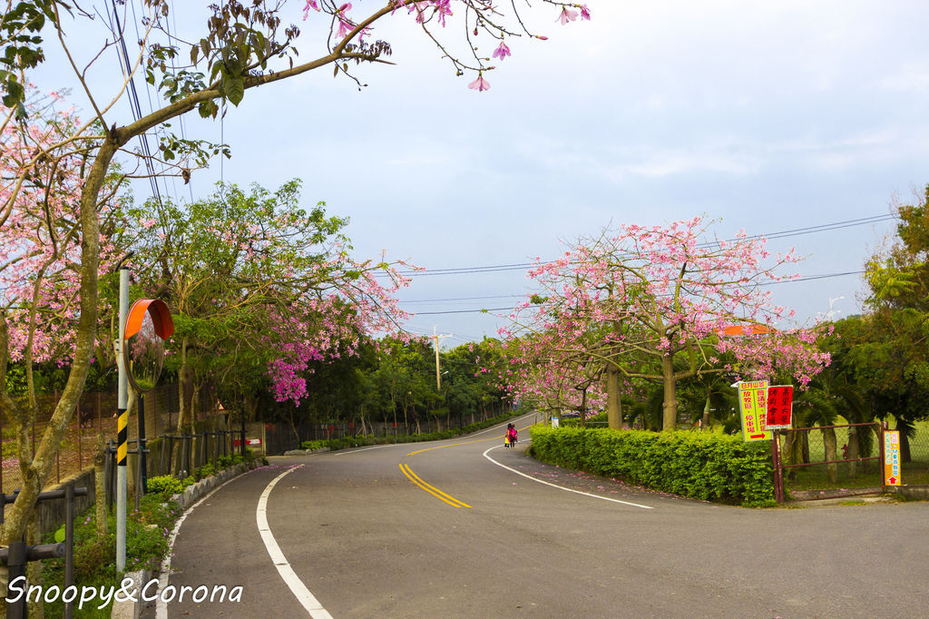 IMG_2299-53.jpg IMG_2299-53.jpg