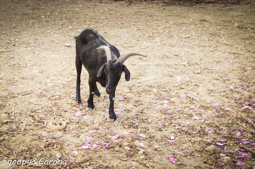 IMG_2300-54.jpg IMG_2300-54.jpg