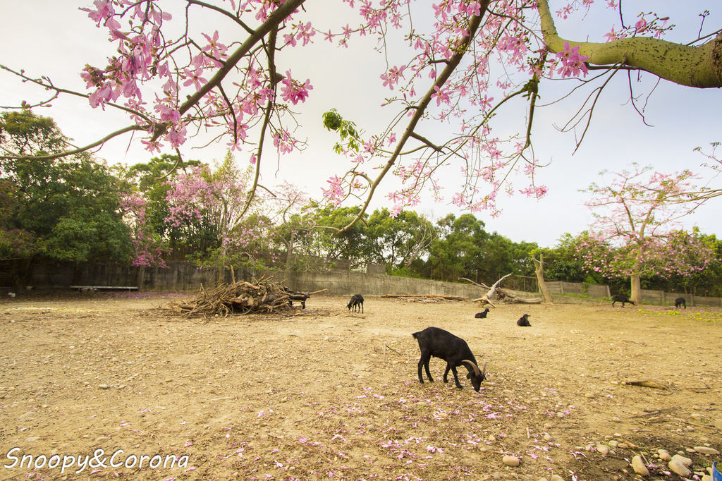 IMG_2304-56.jpg IMG_2304-56.jpg