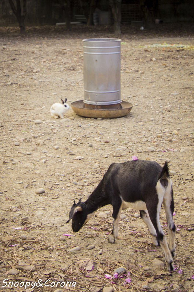 IMG_2305-57.jpg IMG_2305-57.jpg