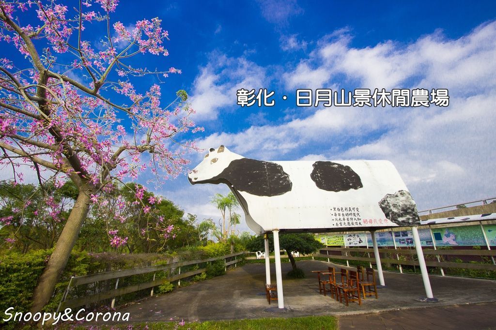 美人櫻美麗綻放 無料入園適合親子同遊 彰化日月山景休閒農場 親子餐廳 親子旅遊 Kidsplay親子就醬玩 美人櫻美麗綻放 無料入園適合親子同遊 彰化日月山景休閒農場 親子餐廳 親子旅遊 Kidsplay親子就醬玩