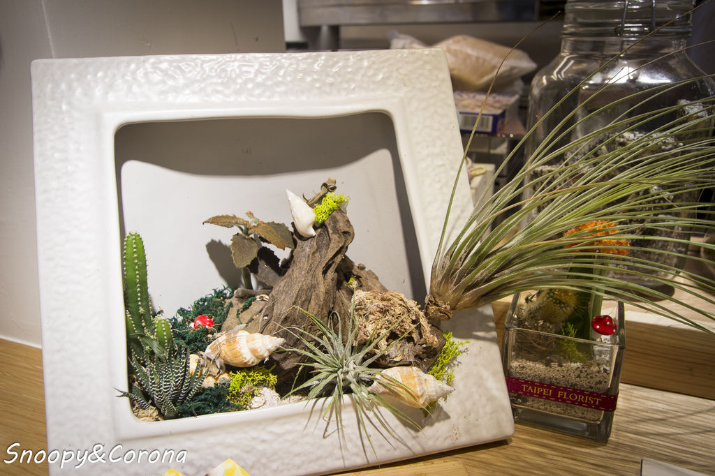 IMG_3936-13.jpg IMG_3936-13.jpg