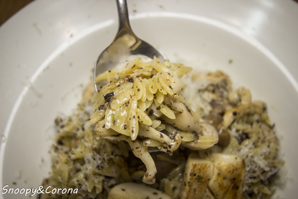 IMG_3954-29.jpg IMG_3954-29.jpg