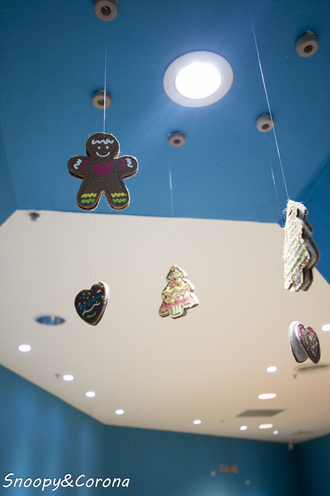 IMG_7341-73.jpg IMG_7341-73.jpg