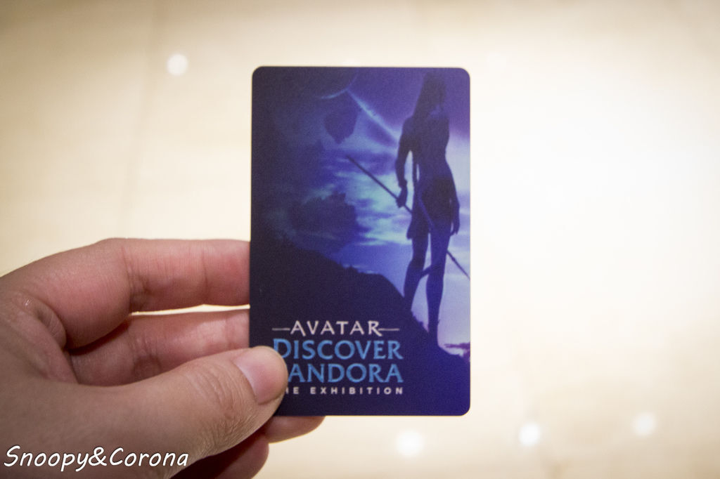 20161207-IMG_8072.jpg 20161207-IMG_8072.jpg