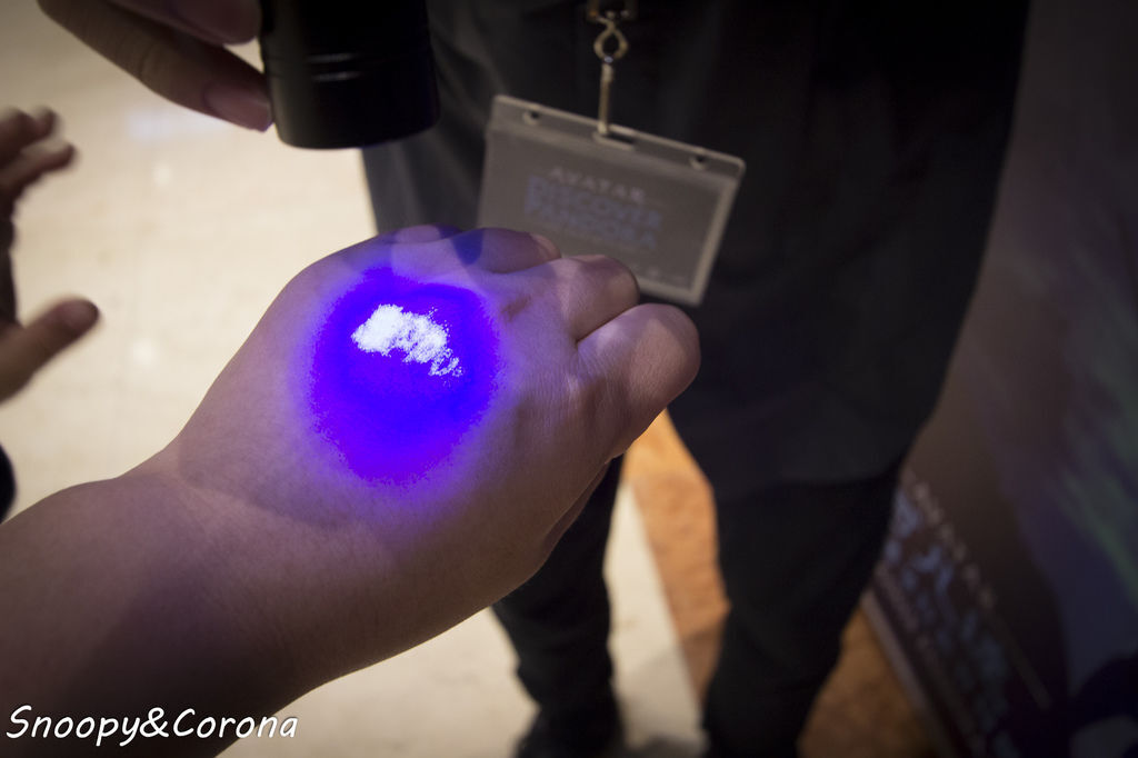 20161207-IMG_8076.jpg 20161207-IMG_8076.jpg