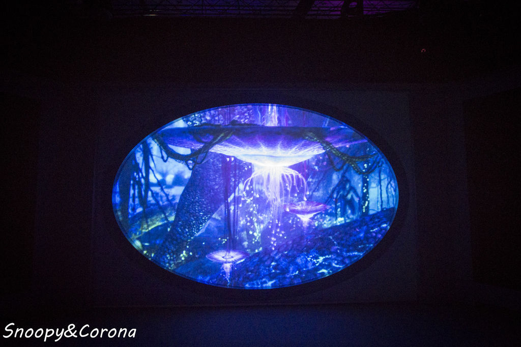 20161207-IMG_8085.jpg 20161207-IMG_8085.jpg