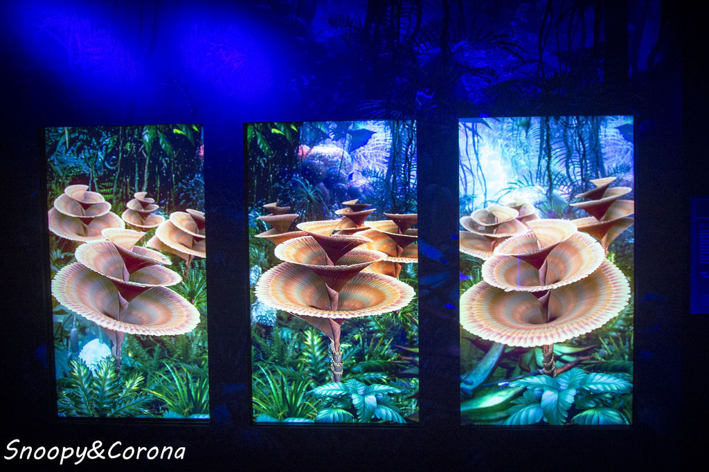 20161207-IMG_8090.jpg 20161207-IMG_8090.jpg