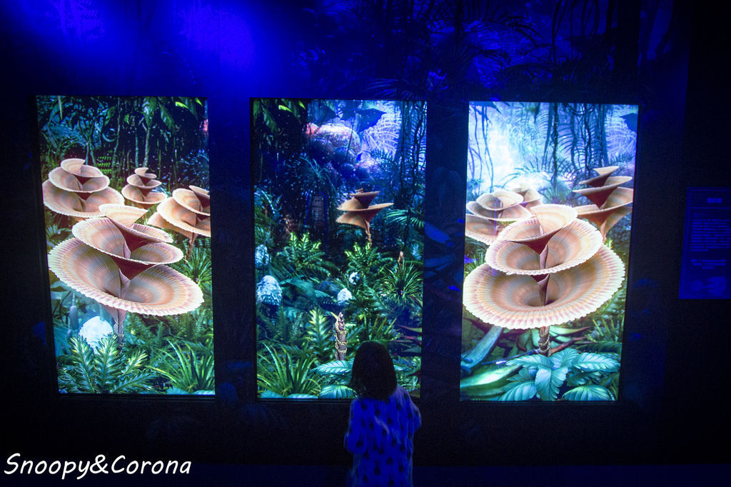 20161207-IMG_8091.jpg 20161207-IMG_8091.jpg