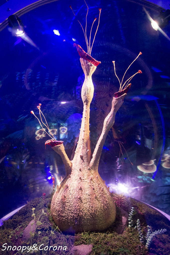 20161207-IMG_8093.jpg 20161207-IMG_8093.jpg