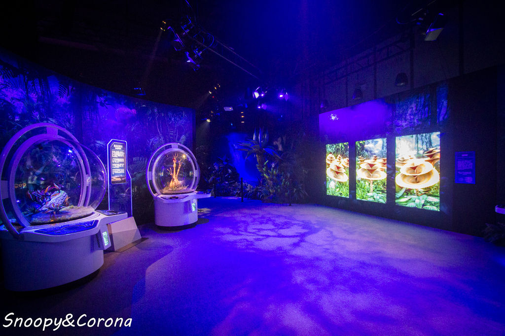 20161207-IMG_8103.jpg 20161207-IMG_8103.jpg