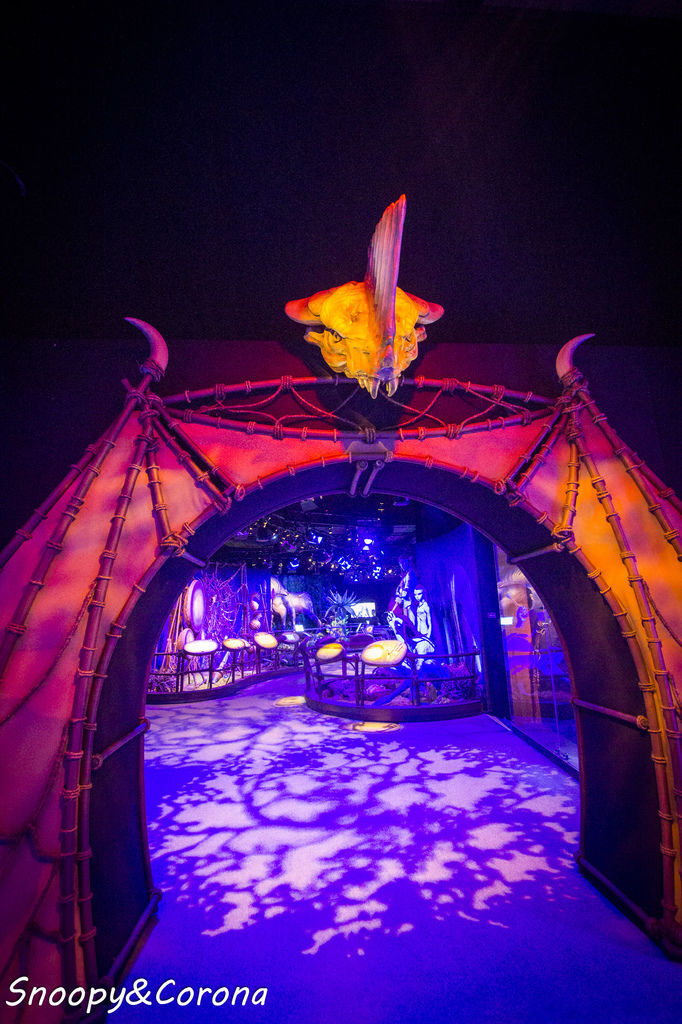 20161207-IMG_8108.jpg 20161207-IMG_8108.jpg