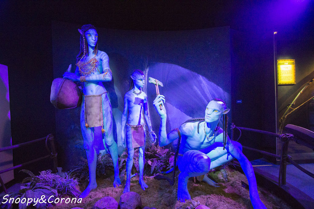 20161207-IMG_8114.jpg 20161207-IMG_8114.jpg