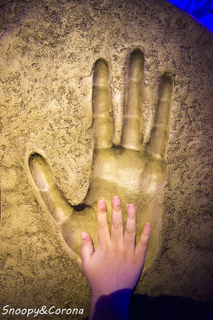 20161207-IMG_8116.jpg 20161207-IMG_8116.jpg