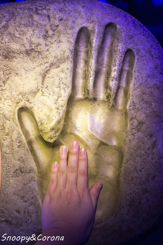 20161207-IMG_8119.jpg 20161207-IMG_8119.jpg