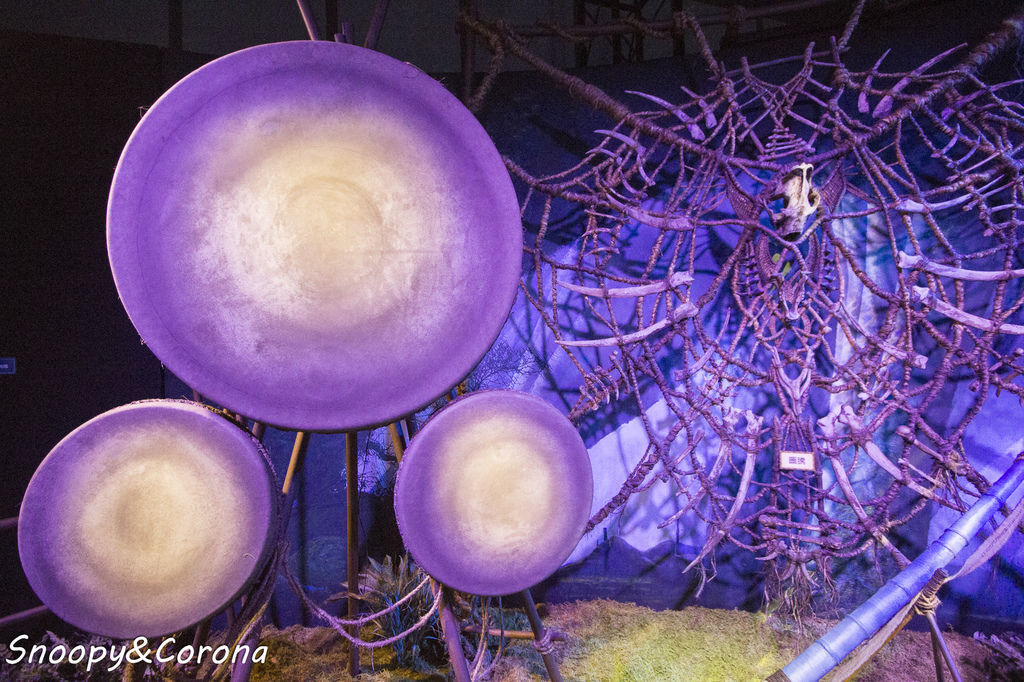 20161207-IMG_8120.jpg 20161207-IMG_8120.jpg