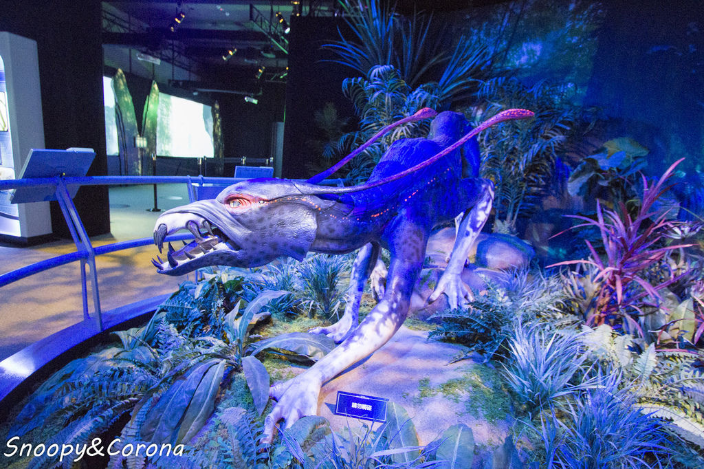 20161207-IMG_8131.jpg 20161207-IMG_8131.jpg