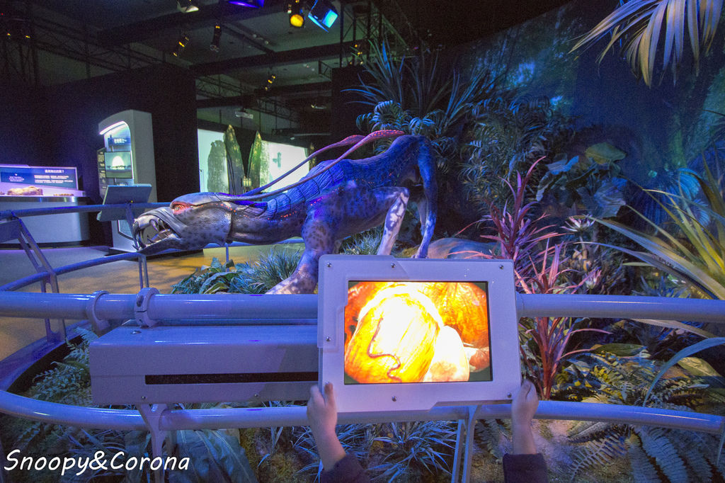 20161207-IMG_8132.jpg 20161207-IMG_8132.jpg