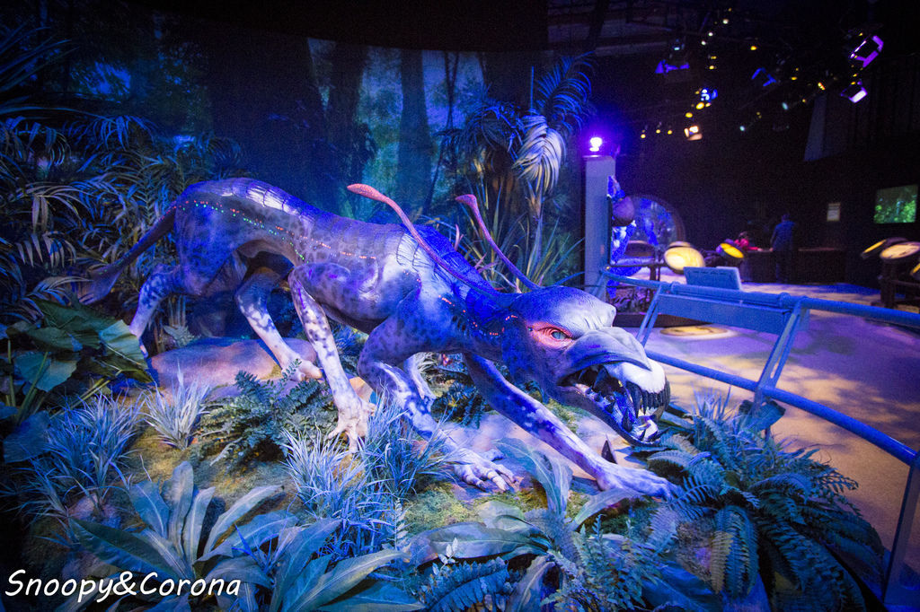 20161207-IMG_8137.jpg 20161207-IMG_8137.jpg