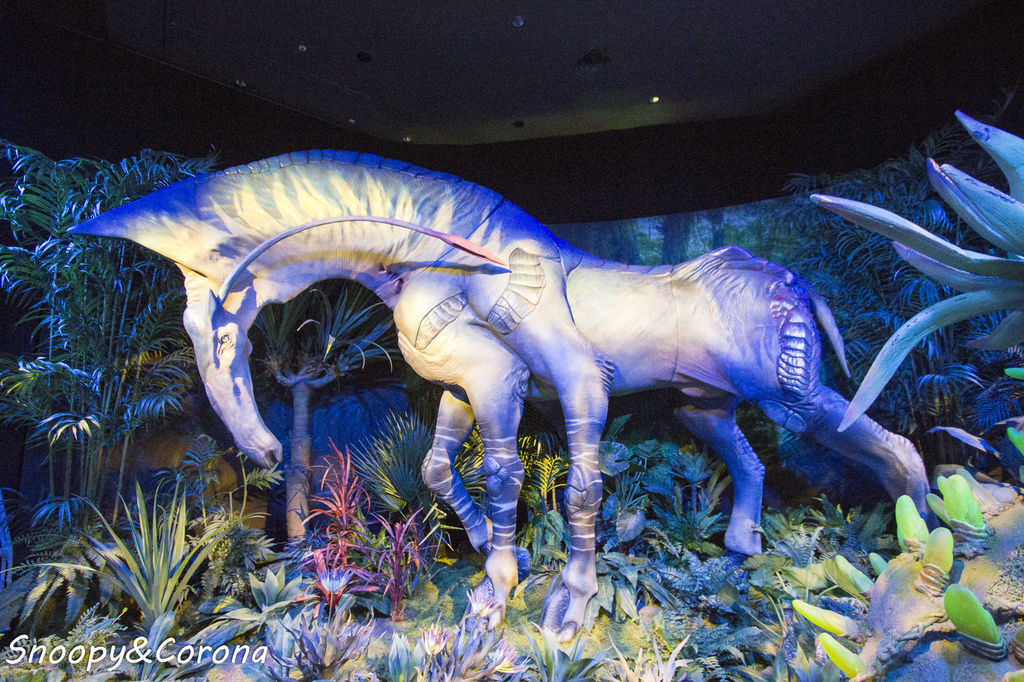 20161207-IMG_8139.jpg 20161207-IMG_8139.jpg