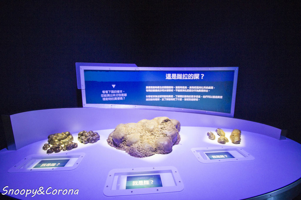 20161207-IMG_8142.jpg 20161207-IMG_8142.jpg