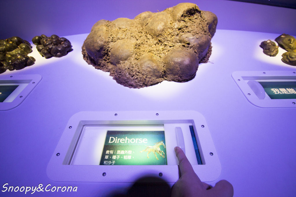 20161207-IMG_8144.jpg 20161207-IMG_8144.jpg