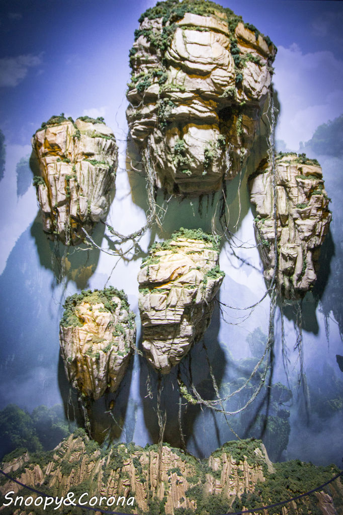 20161207-IMG_8154.jpg 20161207-IMG_8154.jpg