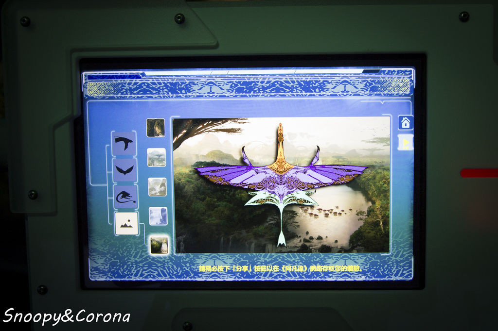 20161207-IMG_8163.jpg 20161207-IMG_8163.jpg